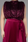 Robe Grande Taille Longue Prune ABU3341