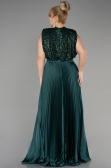Robe Grande Taille Longue Émeraude ABU3341