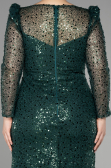 Robe De Fiançailles Grande Taille Longue Squameuse Émeraude ABU3559