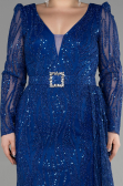Robe De Fiançailles Grande Taille Longue Bleu Saxe ABU3562