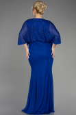 Robe De Fiançailles Grande Taille Longue Bleu Saxe ABU3732