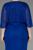 Robe De Fiançailles Grande Taille Longue Bleu Saxe ABU3732