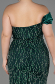 Robe De Fiançailles Grande Taille Longue Émeraude ABU3739