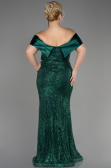 Robe De Fiançailles Grande Taille Longue Émeraude ABU3740