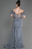 Robe de Soirée Longue Argent ABU2706
