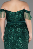 Robe De Fiançailles Grande Taille Longue Émeraude ABU3785