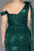 Robe De Fiançailles Grande Taille Longue Squameuse Émeraude ABU3859