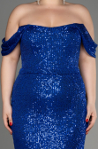 Robe De Fiançailles Grande Taille Longue Bleu Saxe ABU3919