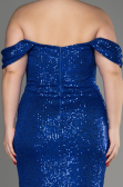 Robe De Fiançailles Grande Taille Longue Bleu Saxe ABU3919