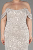 Robe De Fiançailles Grande Taille Longue Vison ABU3919