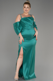 Robe De Fiançailles Grande Taille Longue Vert ABU3921