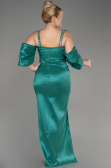 Robe De Fiançailles Grande Taille Longue Vert ABU3921