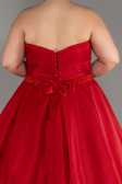 Robe De Fiançailles Grande Taille Longue Rouge ABU3619
