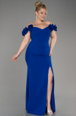 Robe De Graduation Grande Taille Longue Bleu Saxe ABU3946