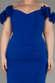 Robe De Graduation Grande Taille Longue Bleu Saxe ABU3946