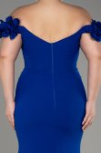 Robe De Graduation Grande Taille Longue Bleu Saxe ABU3946
