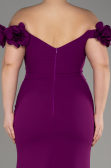 Robe De Graduation Grande Taille Longue Violet ABU3946