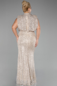 Robe De Soirée Grande Taille Squameuse Longue Vison ABU3115