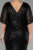 Robe de Soirée Grande Taille Longue Noir ABU2309