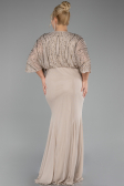 Robe De Fiançailles Grande Taille Longue Beige ABU3732