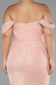 Robe De Fiançailles Grande Taille Longue Saumon ABU3919