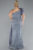 Robe De Fiançailles Grande Taille Longue Gris ABU4060