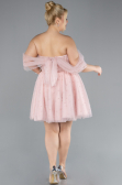 Robe De Mariée Grande Taille Mini Poudre ABK2110