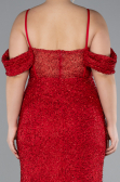Robe De Fiançailles Grande Taille Longue Perlé Rouge ABU4395
