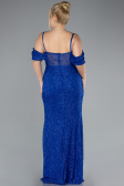 Robe De Fiançailles Grande Taille Longue Perlé Bleu Saxe ABU4395