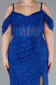 Robe De Fiançailles Grande Taille Longue Perlé Bleu Saxe ABU4395
