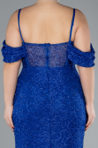 Robe De Fiançailles Grande Taille Longue Perlé Bleu Saxe ABU4395