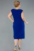 Robe De Fête Grande Taille Midi Bleu Saxe ABK2190