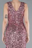 Robe de Soirée Longue Poudre ABU4672