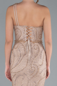 Robe De Soirée Longue Vison ABU4697