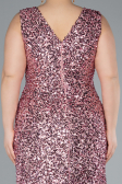 Robe de Soirée Grande Taille Longue Poudre ABU4673