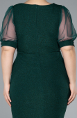 Robe De Invitation Grande Taille Courte Émeraude ABK2247