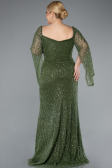 Robe De Fiançailles Grande Taille Perlé Longue Kaki ABU4640