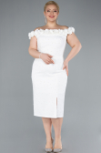 Robe De Fête Grande Taille Midi Blanc ABK2318