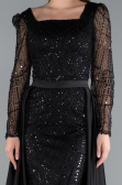 Robe de Soirée Longue Noir ABU4603