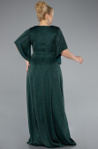 Robe Grande Taille Longue Émeraude ABU4914