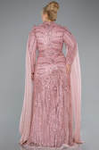 Robe Grande Taille Longue Poudre ABU4935