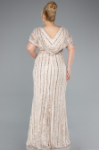 Robe De Fiançailles Grande Taille Longue Dantelle Beige ABU4948