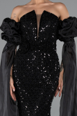 Robe de Soirée Longue Noir ABU5100