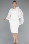 Robe De Fête Grande Taille Midi Blanc ABK2383