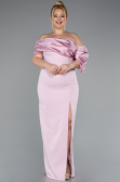 Robe Grande Taille Longue Poudre ABU5047