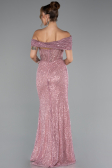 Robe de Soirée Longue Perlé Poudre ABU5183