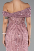 Robe de Soirée Longue Perlé Poudre ABU5183