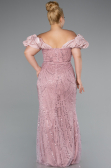 Robe De Fiançailles Grande Taille Perlé Longue Poudre ABU4788