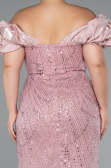Robe De Fiançailles Grande Taille Perlé Longue Poudre ABU4788