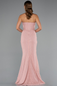 Robe Queue de Poisson Longue Dantelle Poudre ABU5215